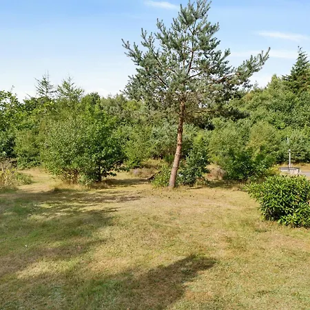 With Billiards Shelter Fire Pit